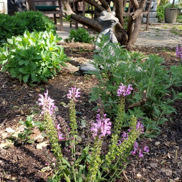 Meet your Posher, Buffy - Picture 2 of 9